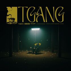 Cover of TGANG