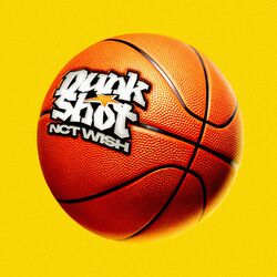 Cover of Dunk Shot