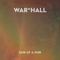 Cover of Son of a Gun