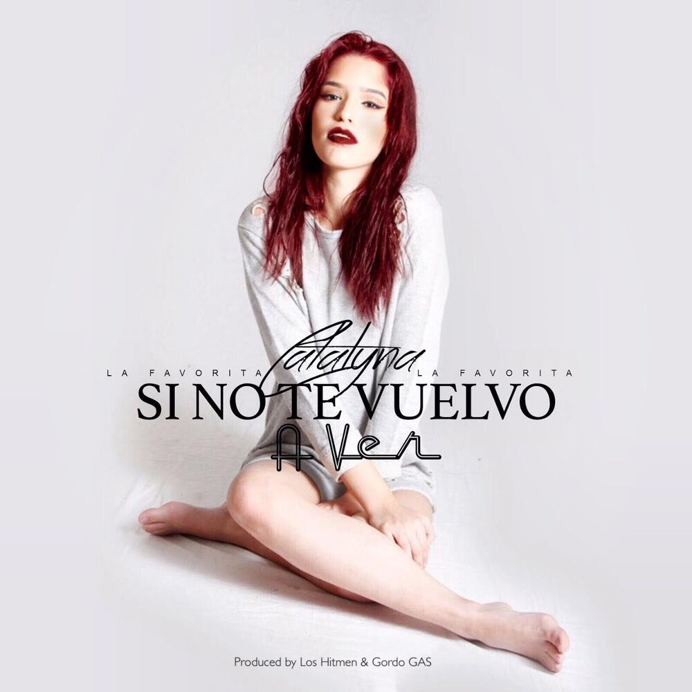Picture of Si Te Vuelvo a Ver