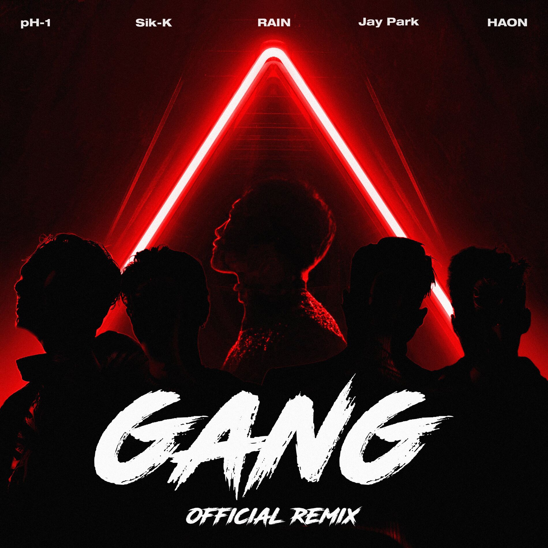 Album cover of GANG Official Remix