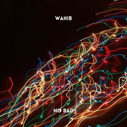 Cover of No Bad