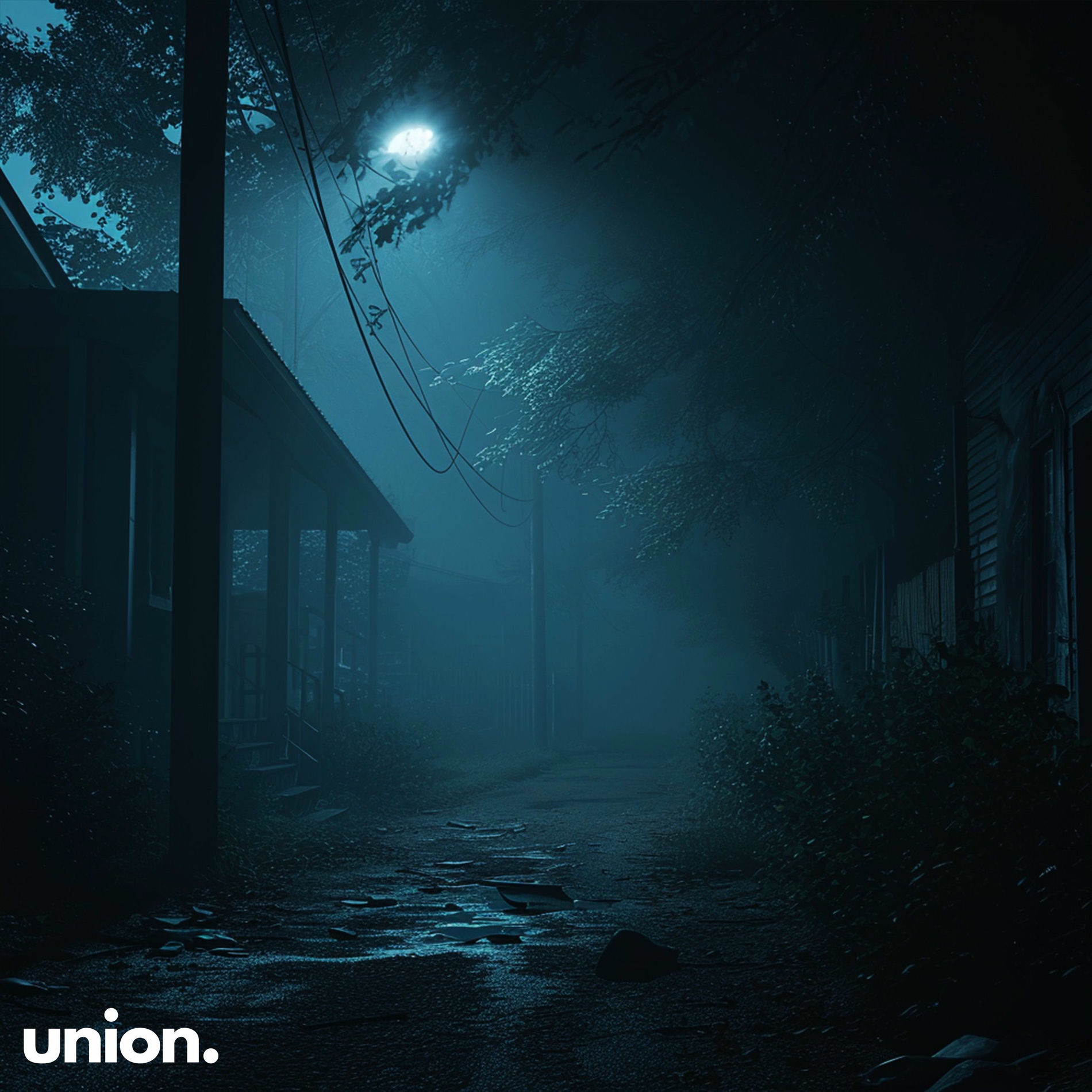 Album cover of waves