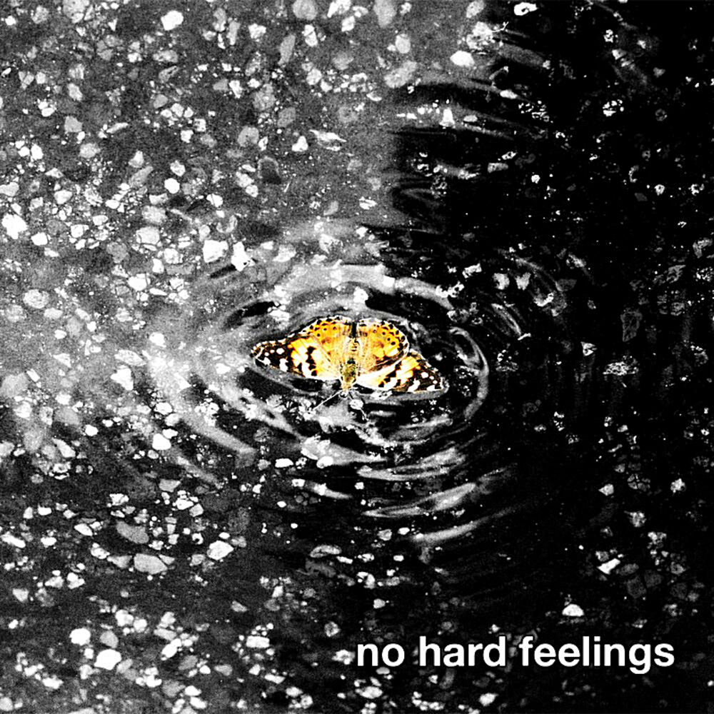 Picture of No Hard Feelings