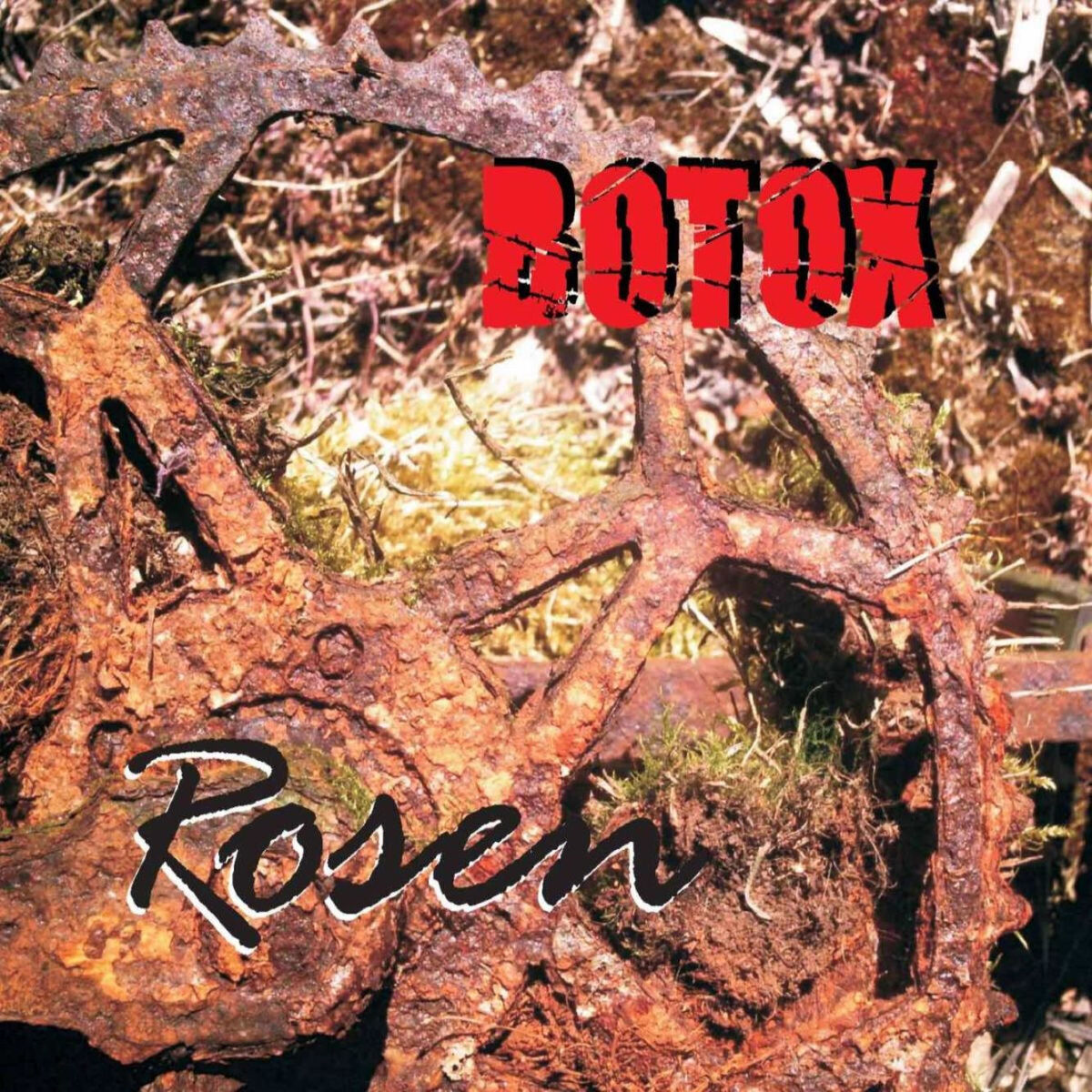 Album cover of Rosen