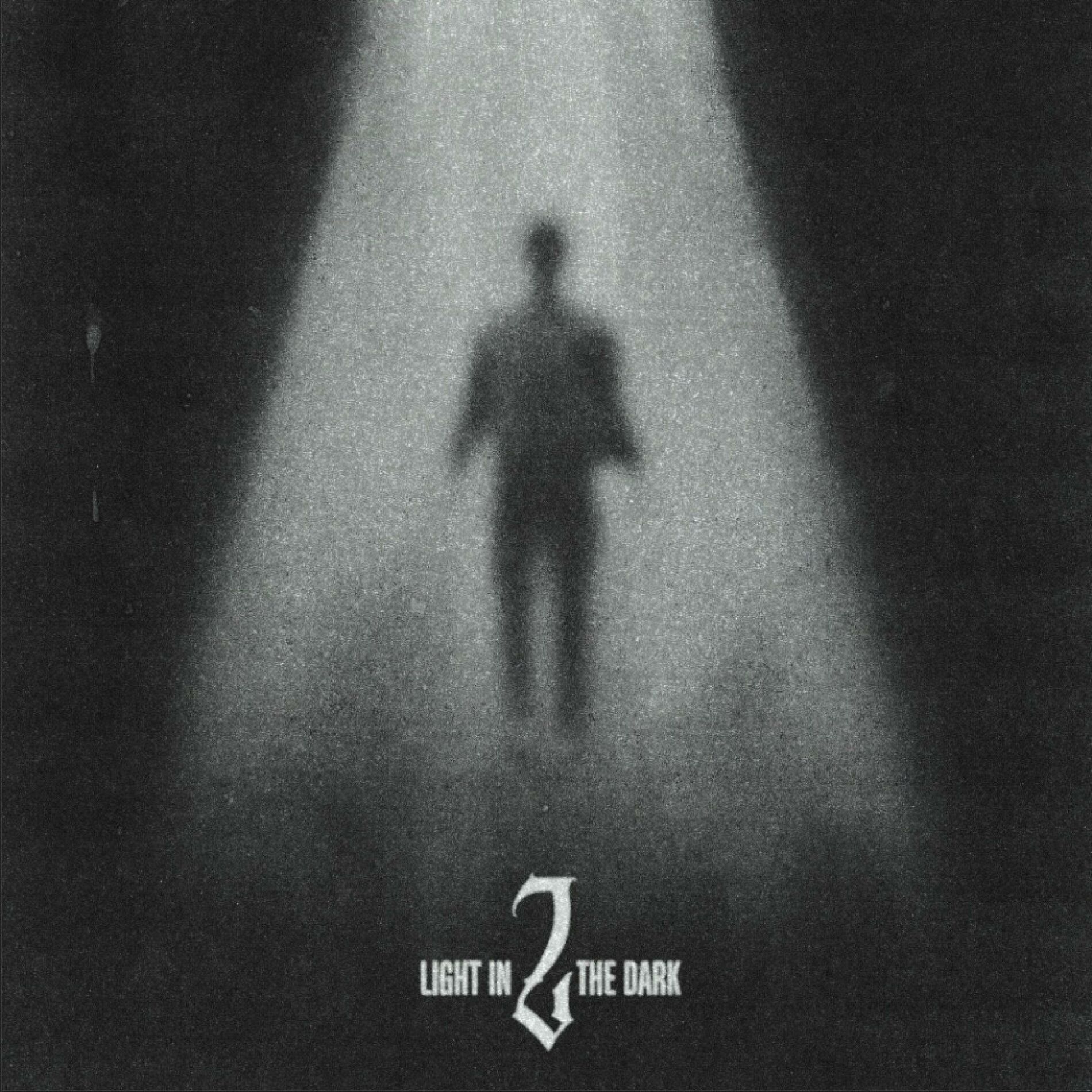 Album cover of Light In The Dark 2