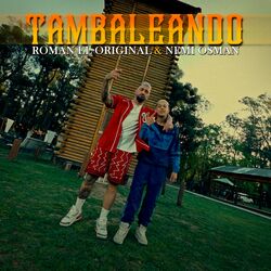 Cover of Tambaleando