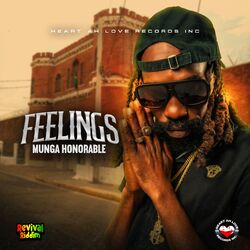 Cover of Feelings