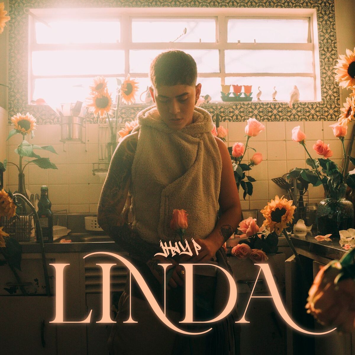 Album cover of LINDA
