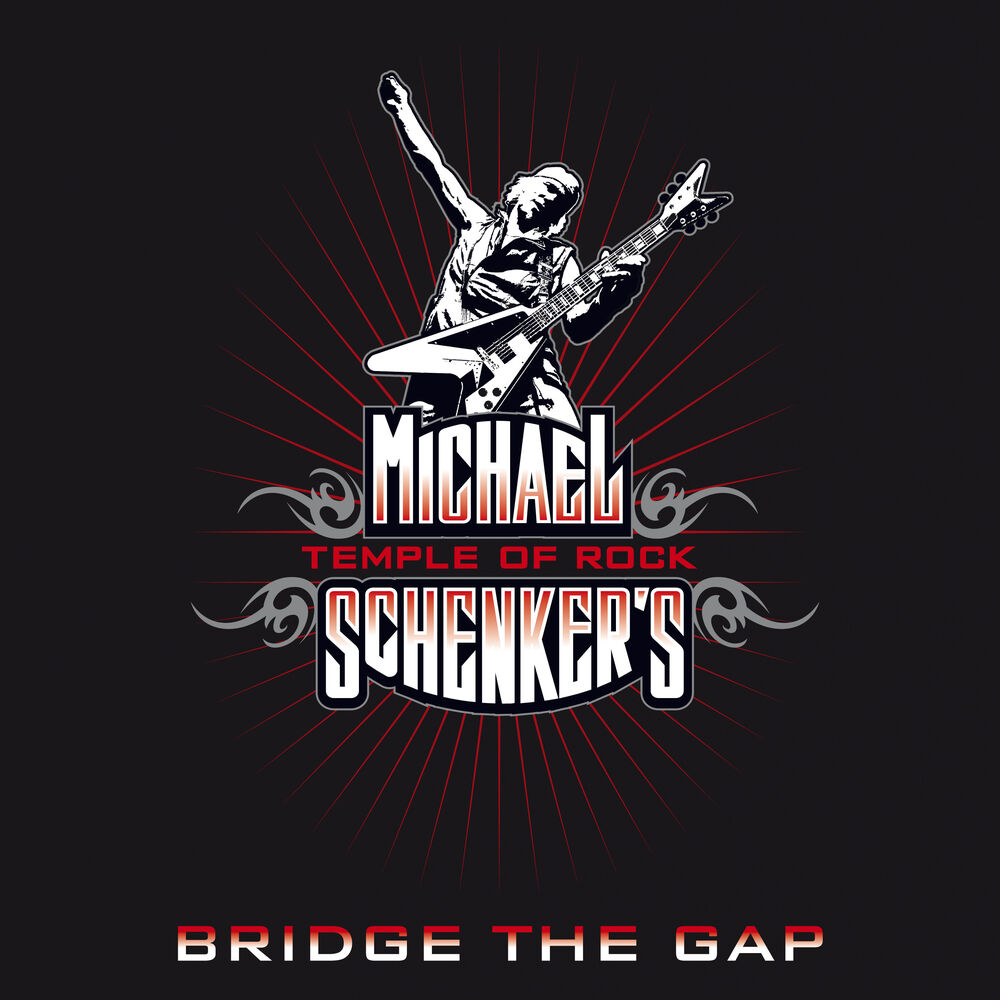 Picture of Bridge The Gap