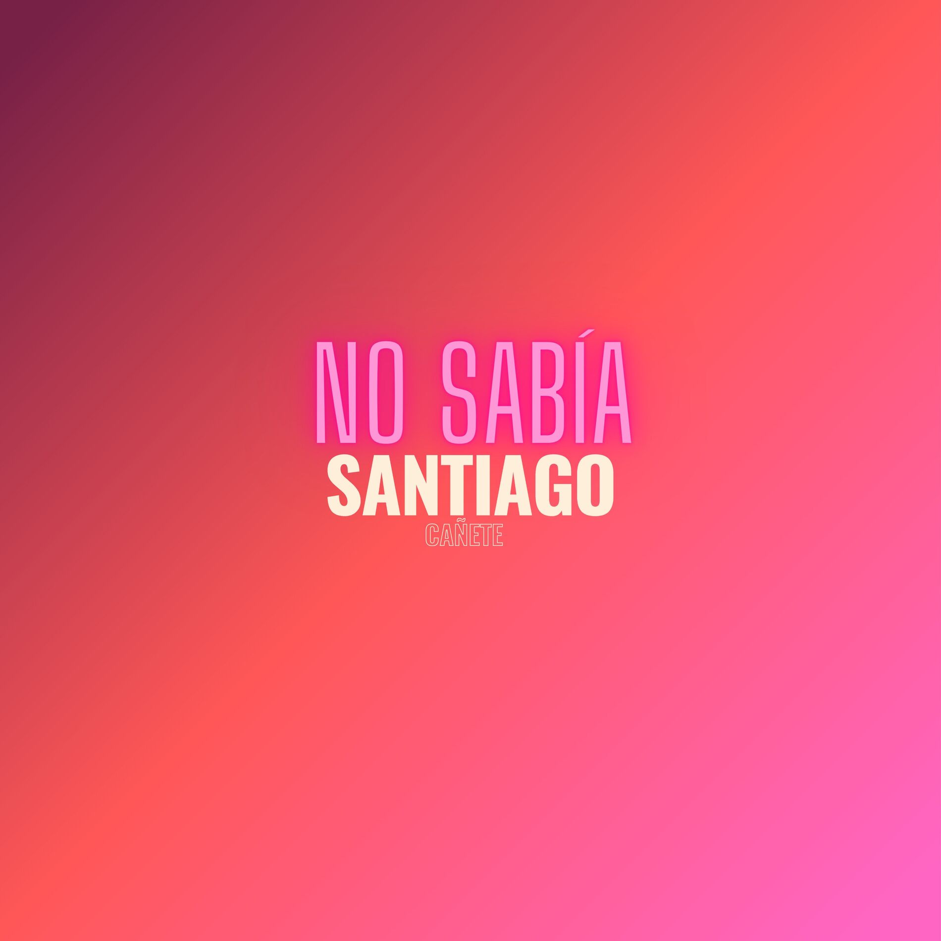 Album cover of No Sabía