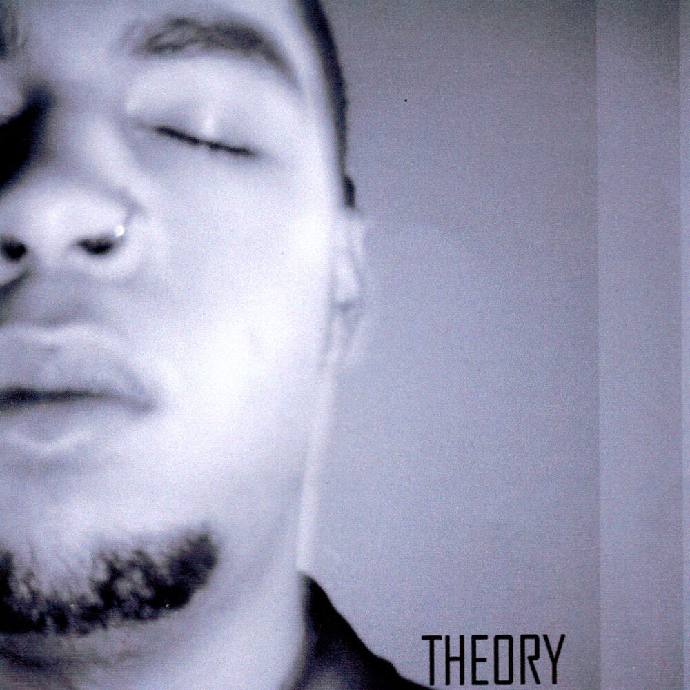 Picture of Theory