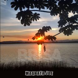 Cover of Brisa