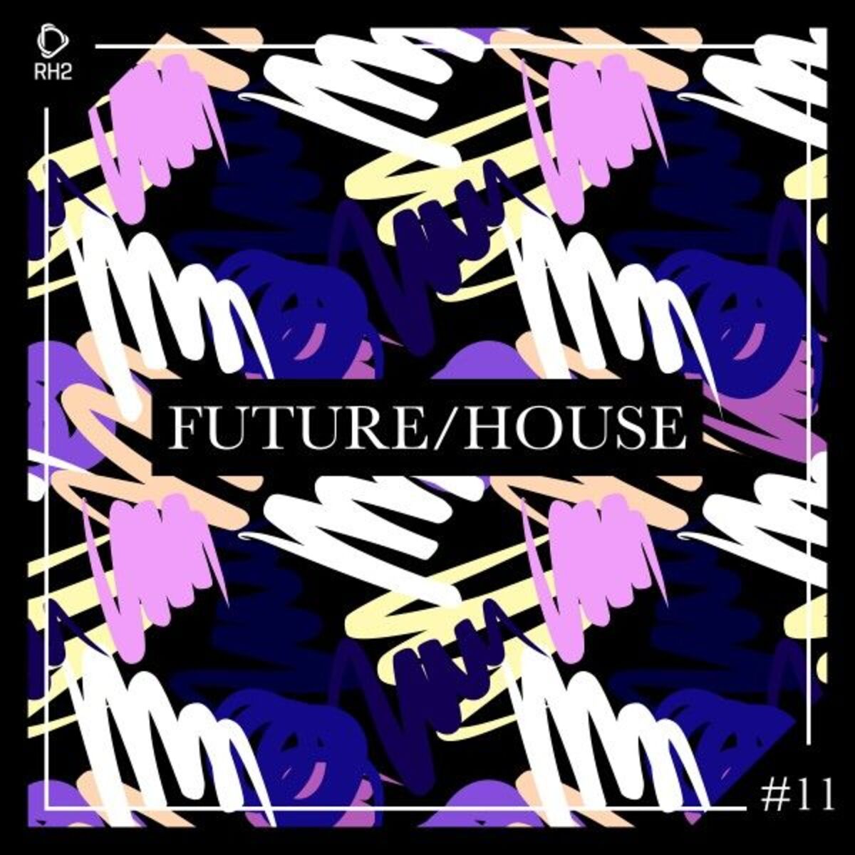 Album cover of Future/House #11