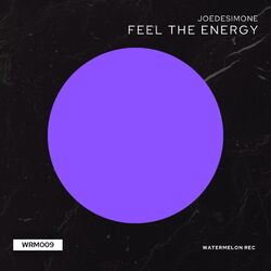 Cover of Feel the Energy