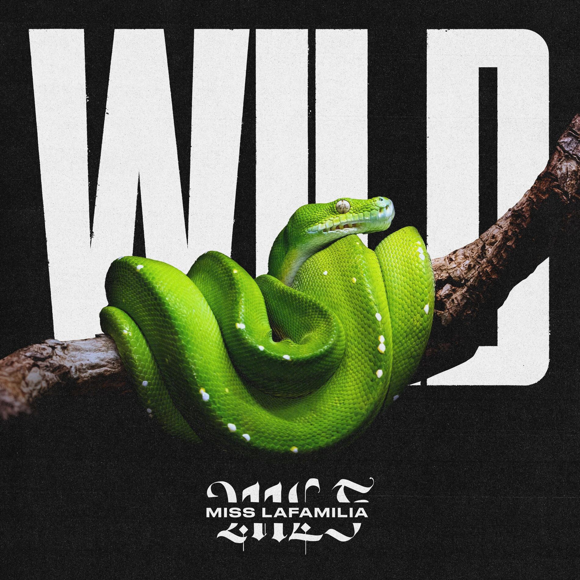 Album cover of Wild
