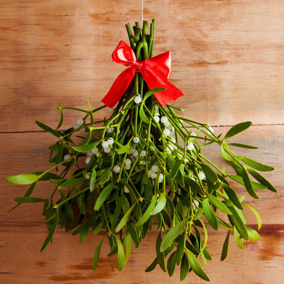 Album cover of under the mistletoe