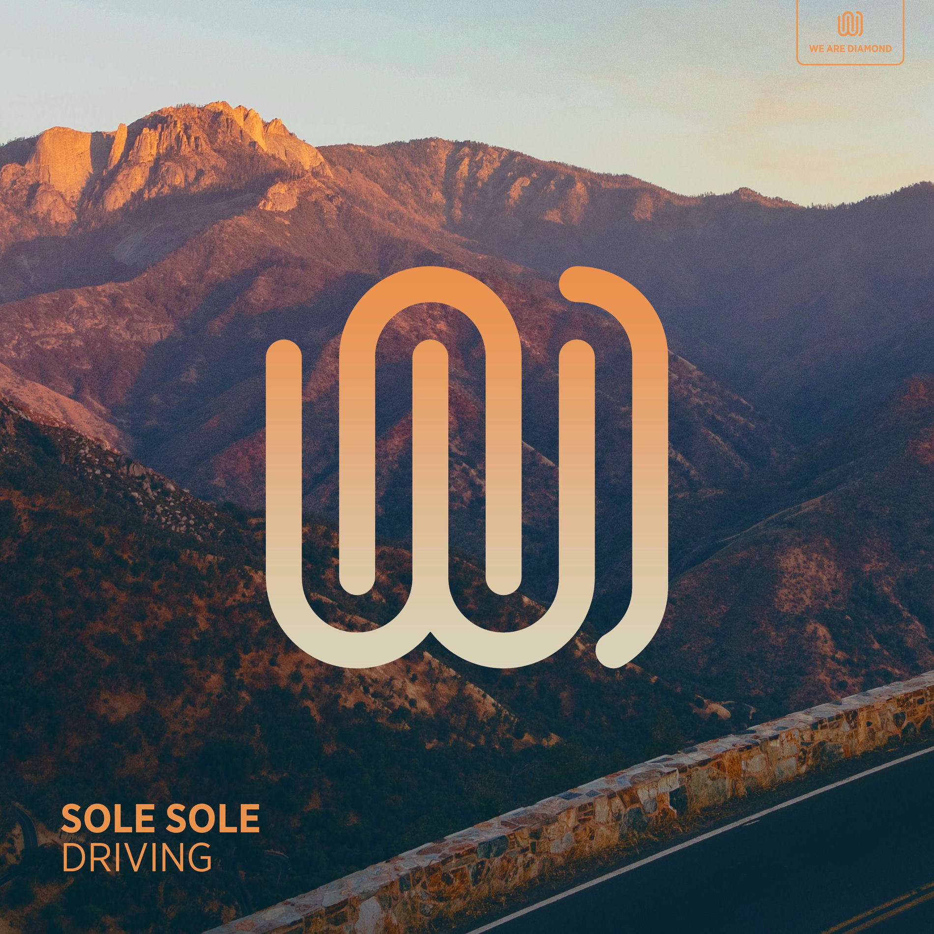 Album cover of Driving