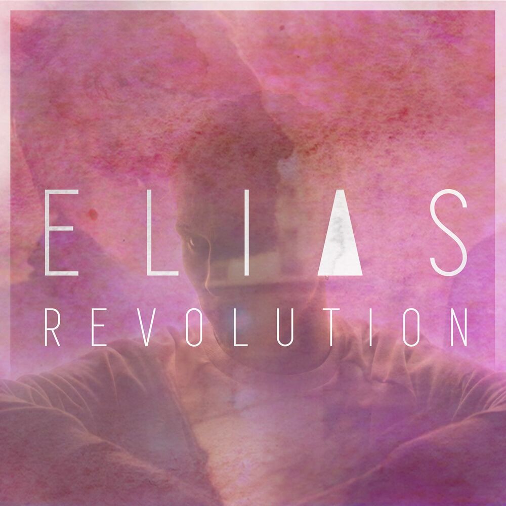 Picture of Revolution