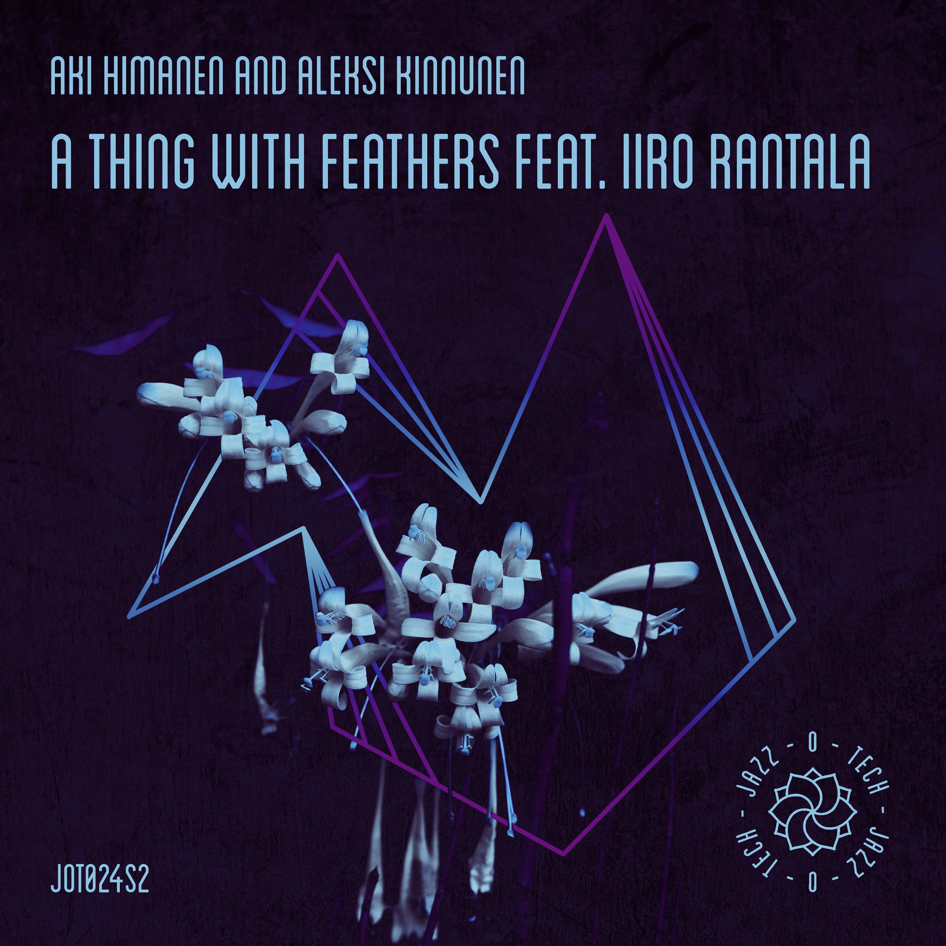 Album cover of A Thing With Feathers
