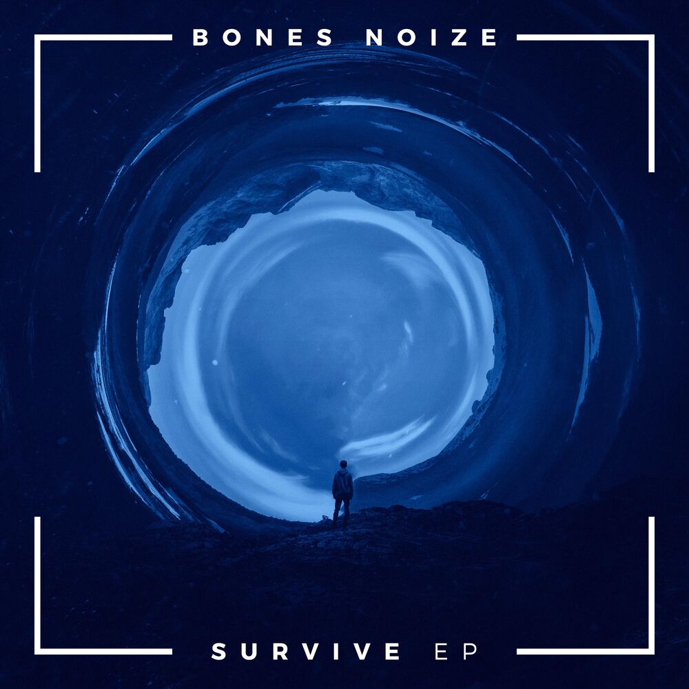 Picture of Survive