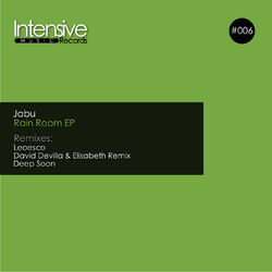 Cover of Rain Room