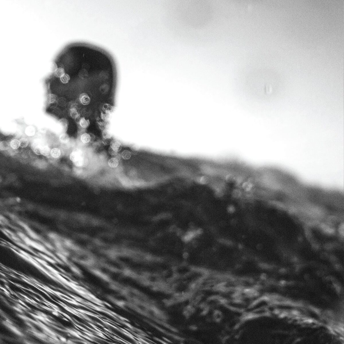 Album cover of Bend the Light