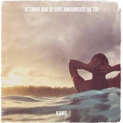 Cover of Je crois que je suis amoureuse de toi