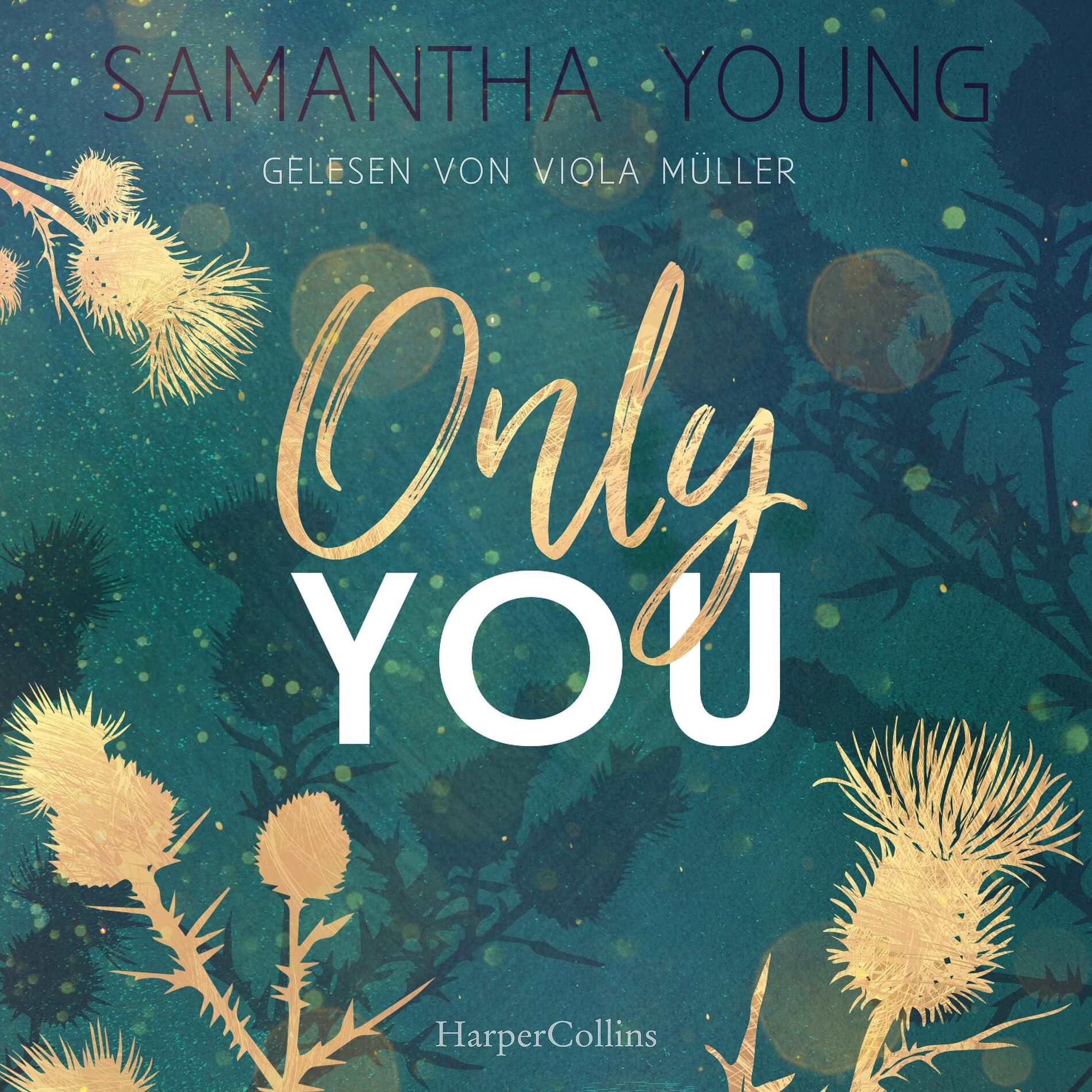Album cover of Only You (Roman)