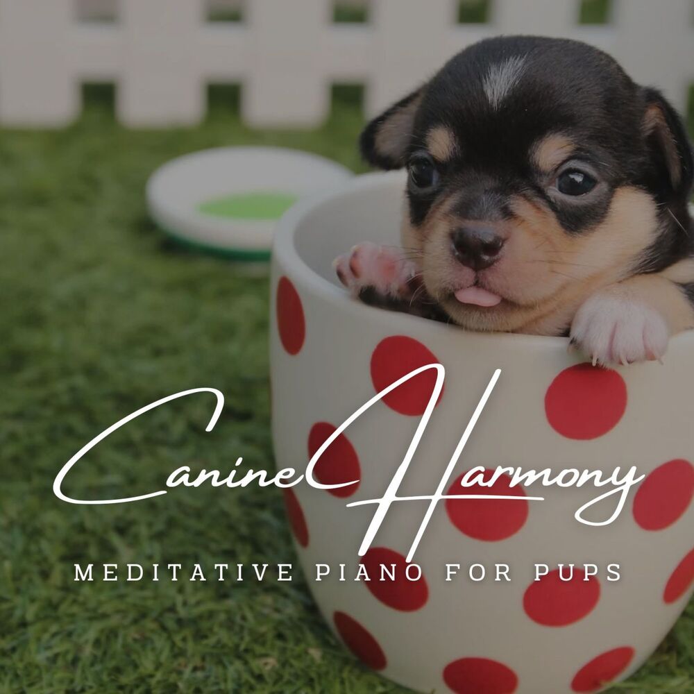 Picture of Canine Harmony: Meditative Piano for Pups