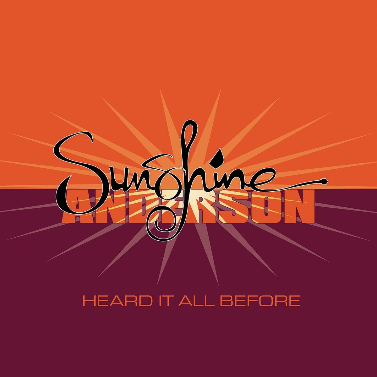 SUNSHINE ANDERSON - レコード アルバム 超美品 レコード