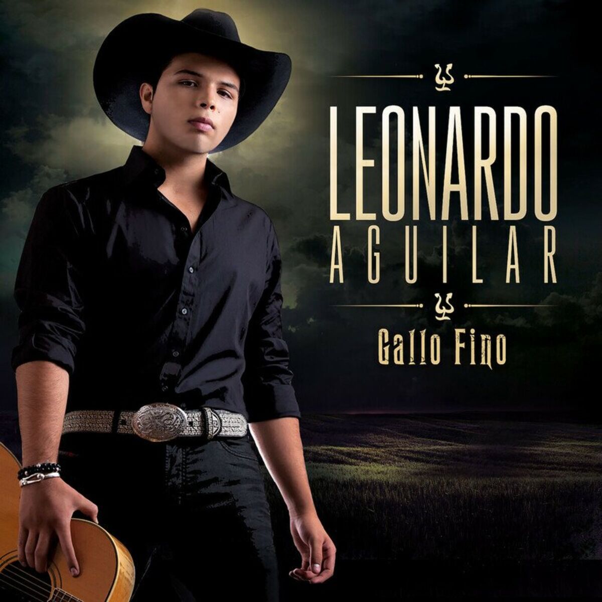 Album cover of Gallo Fino