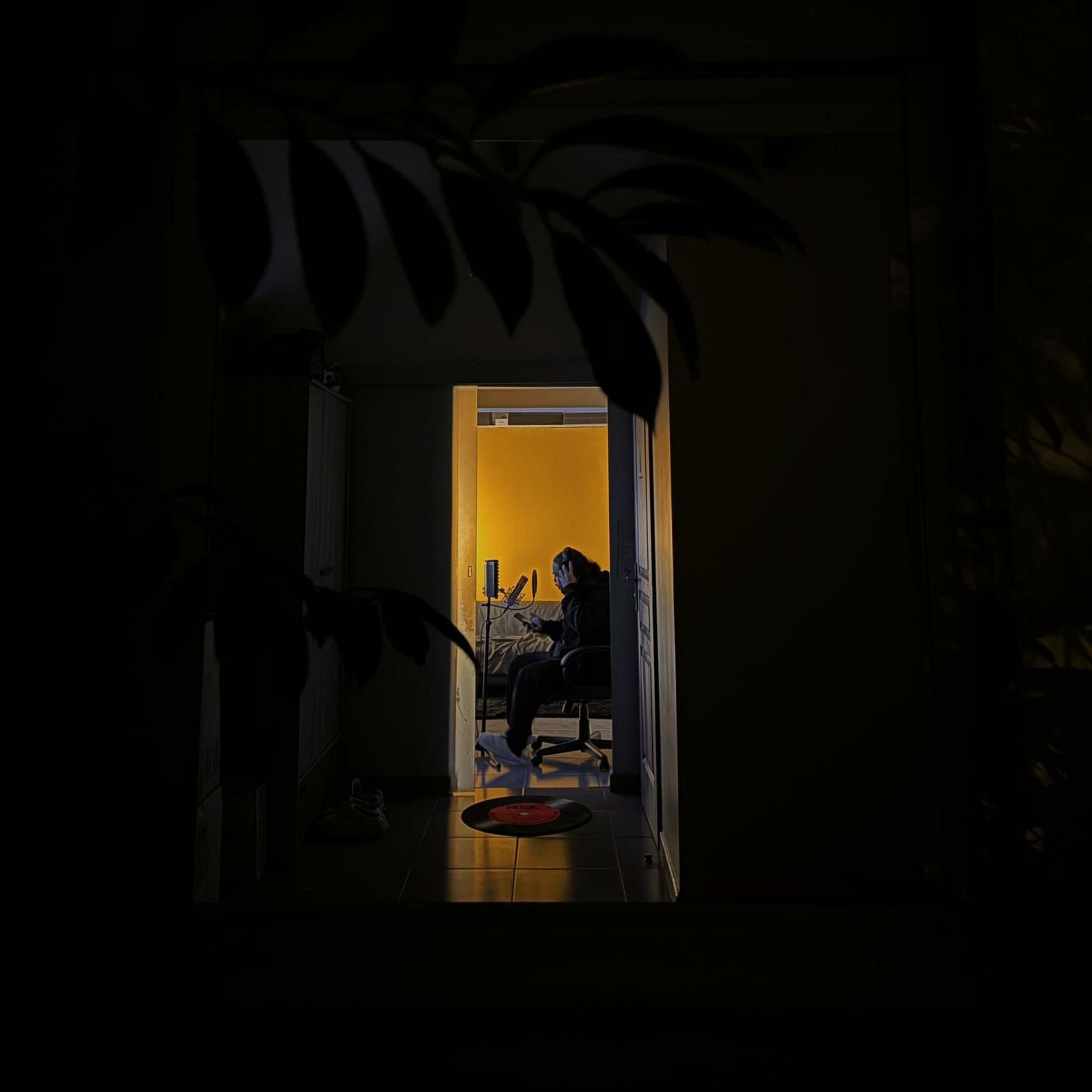 Album cover of Chutes Noires
