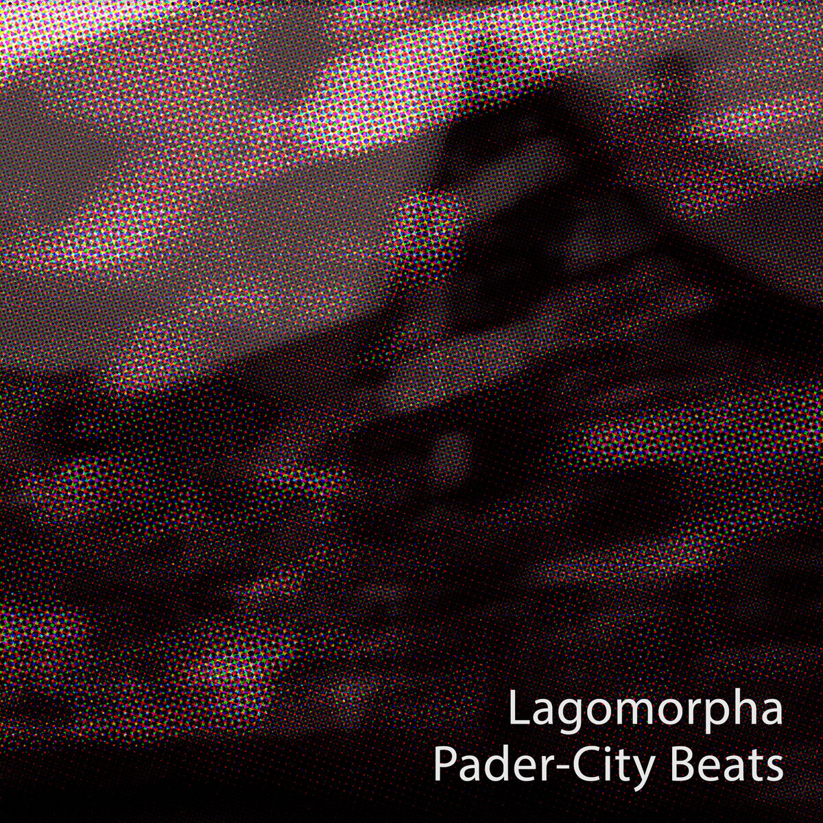 Album cover of Pader-City Beats