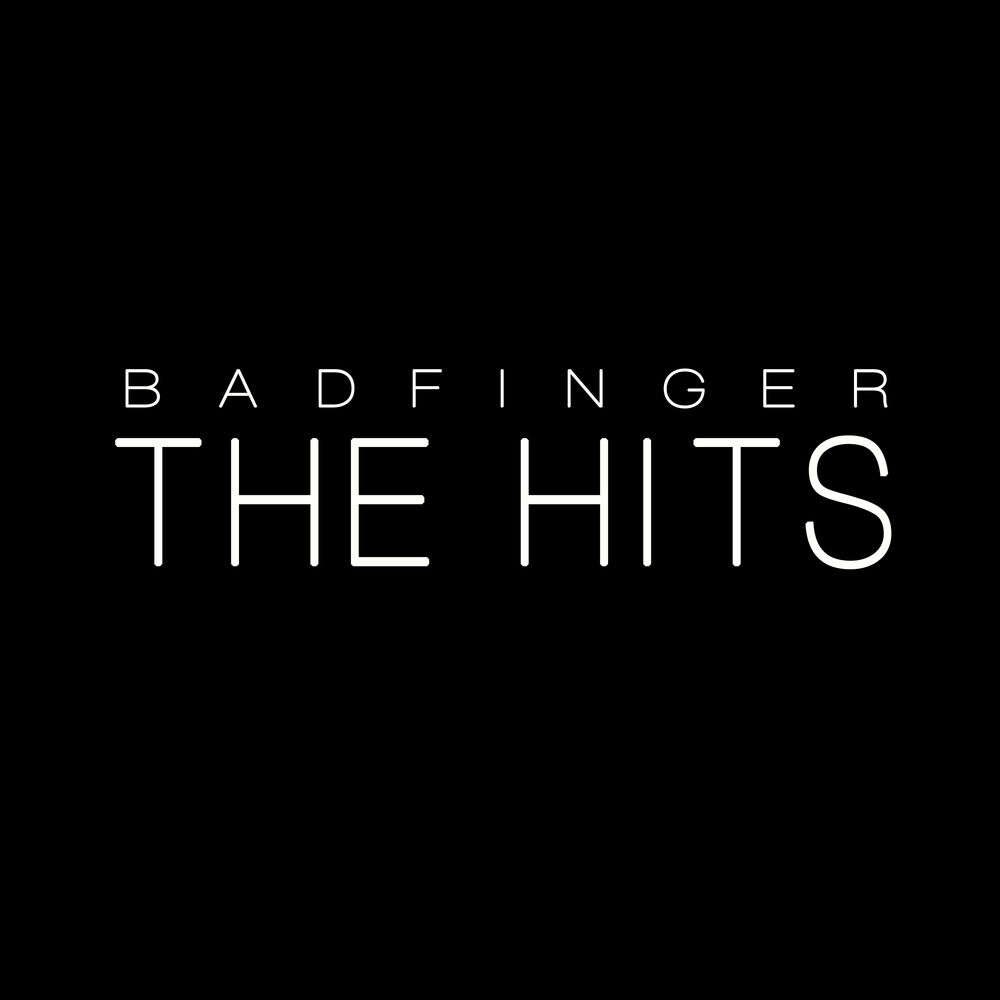 Picture of The Hits