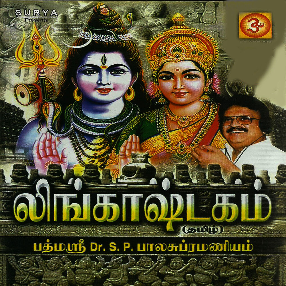 Picture of Lingashtakam