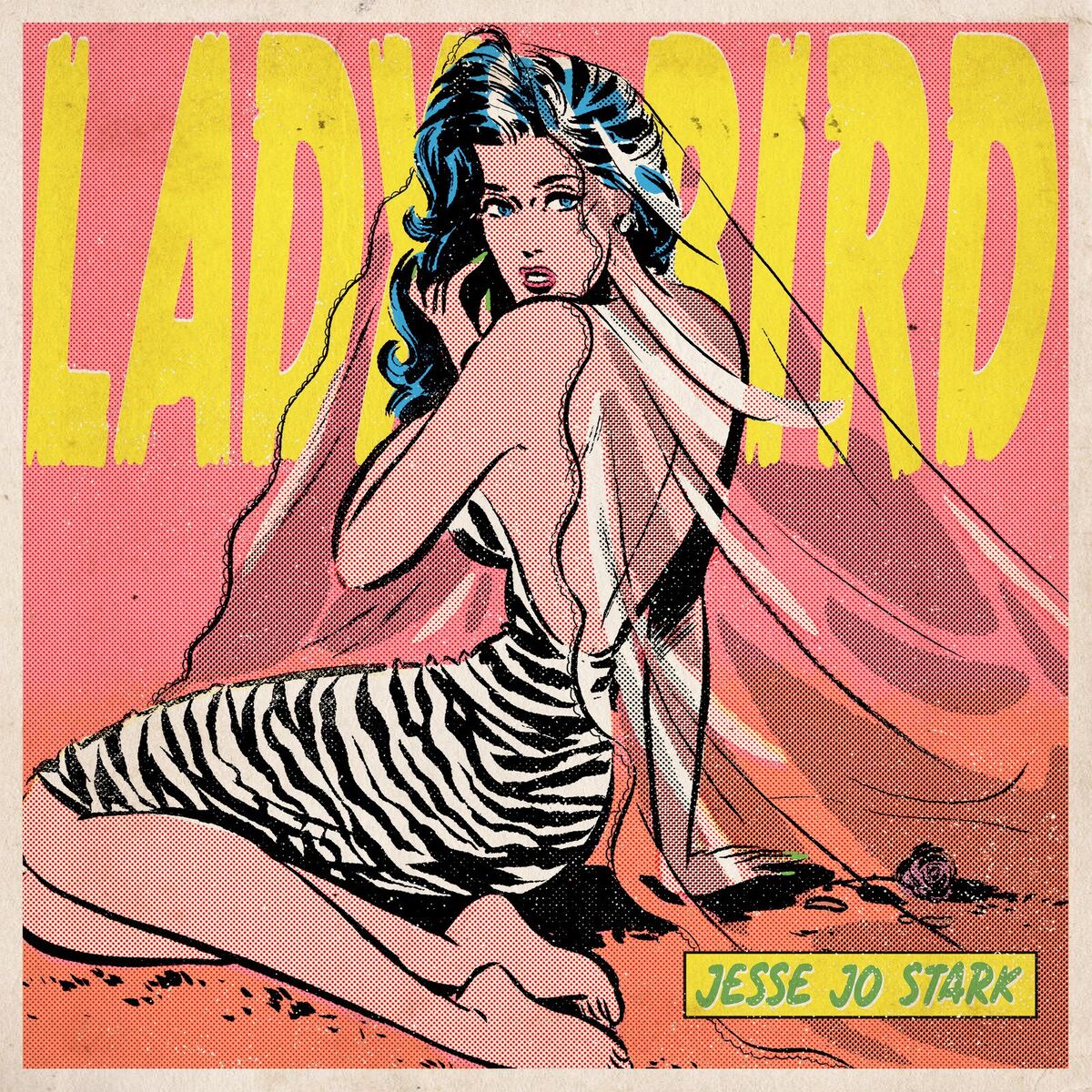 Album cover of Lady Bird