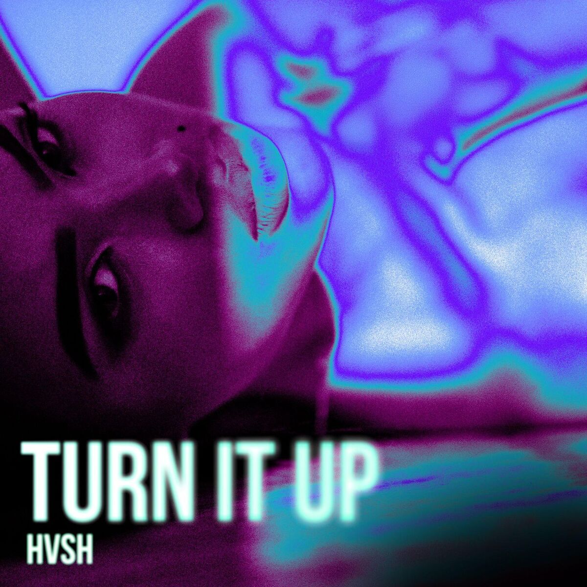 Album cover of TURN IT UP