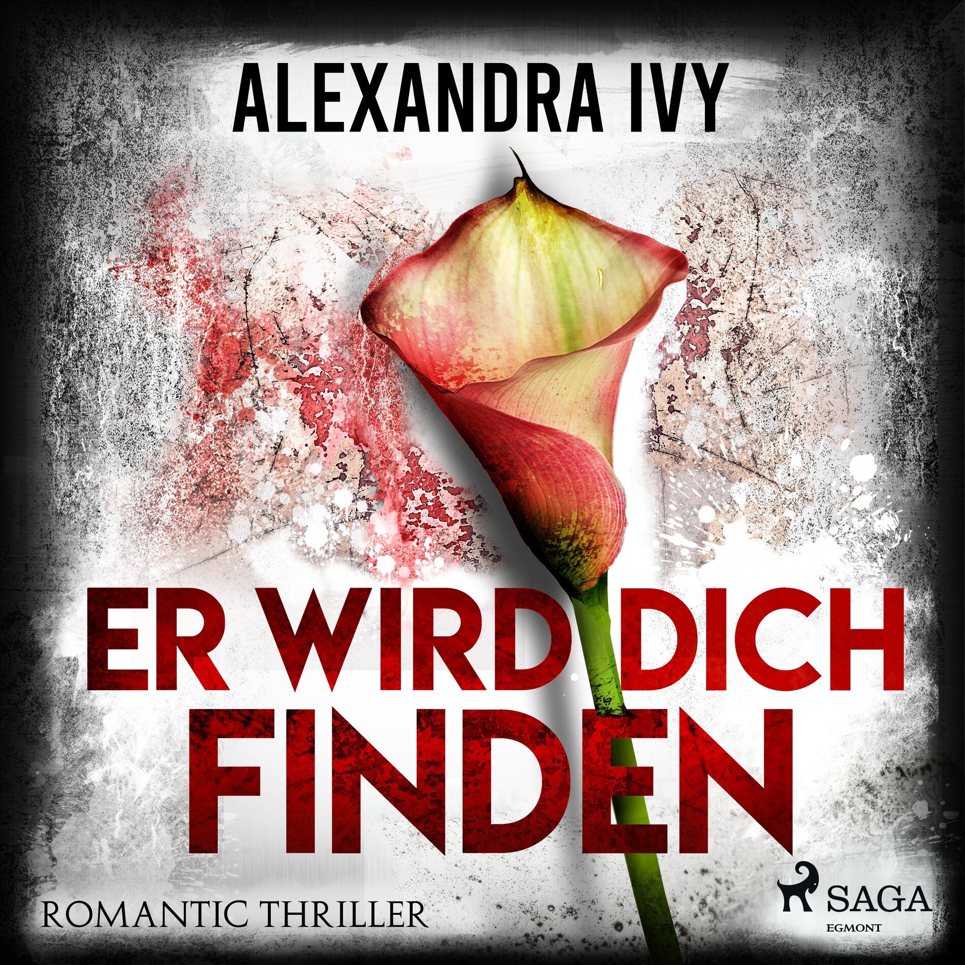 Album cover of Er wird dich finden: Romantic Thriller