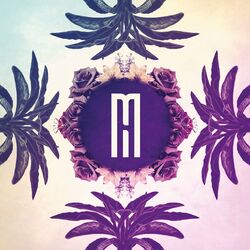 Cover of Red Flare