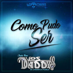 Cover of Como Pudo Ser