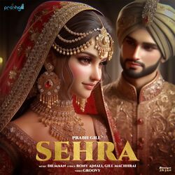 Cover of SEHRA