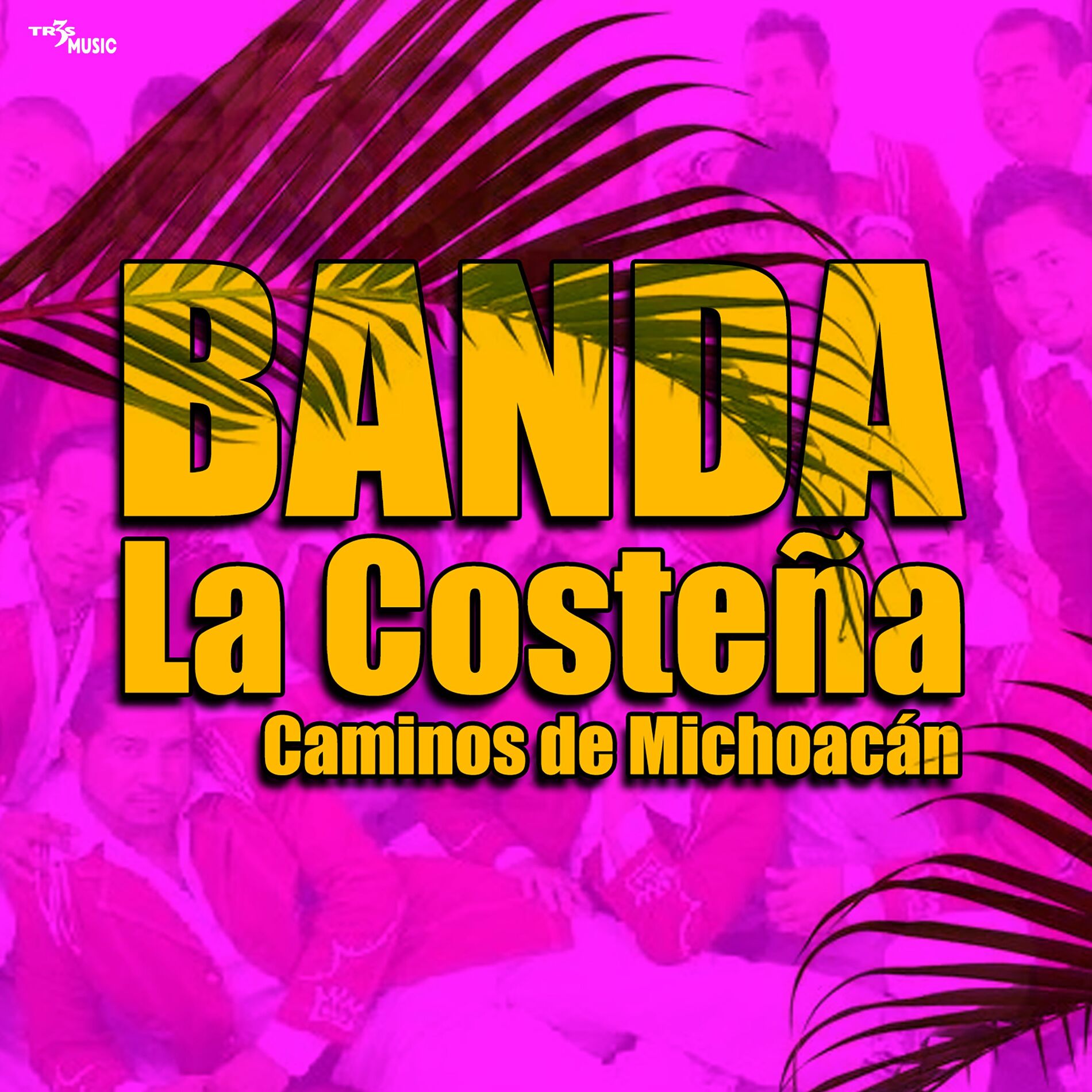 Album cover of Caminos De Michoacan Vol. 3