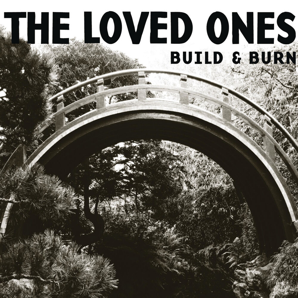 Picture of Build & Burn