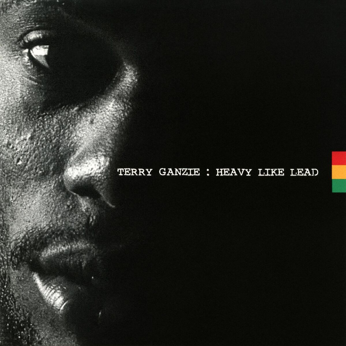 Album cover of Heavy Like Lead
