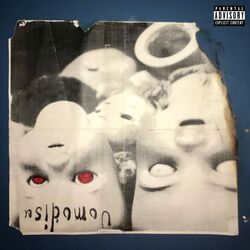 Cover of Uomodisu