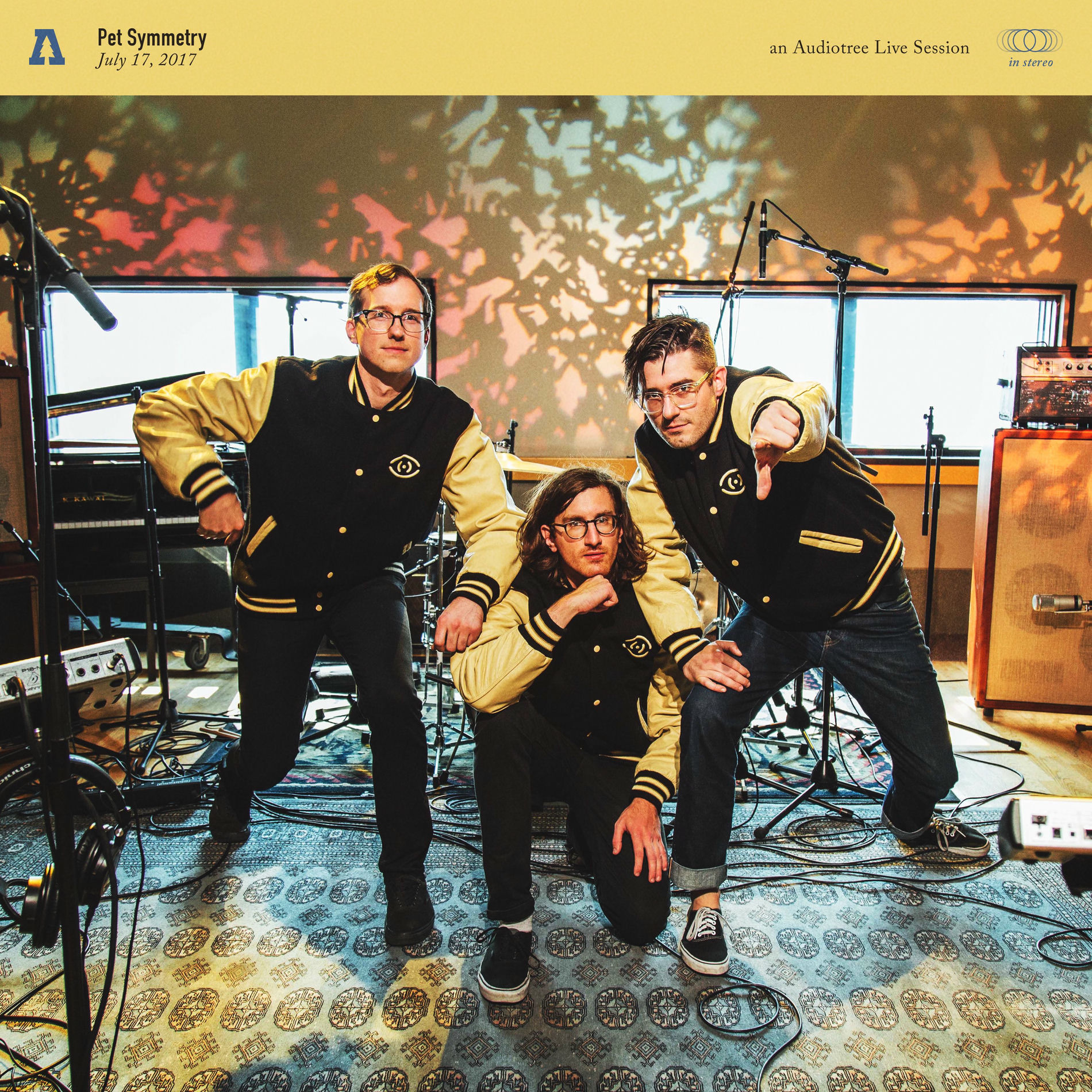 Album cover of Pet Symmetry (Audiotree Live)