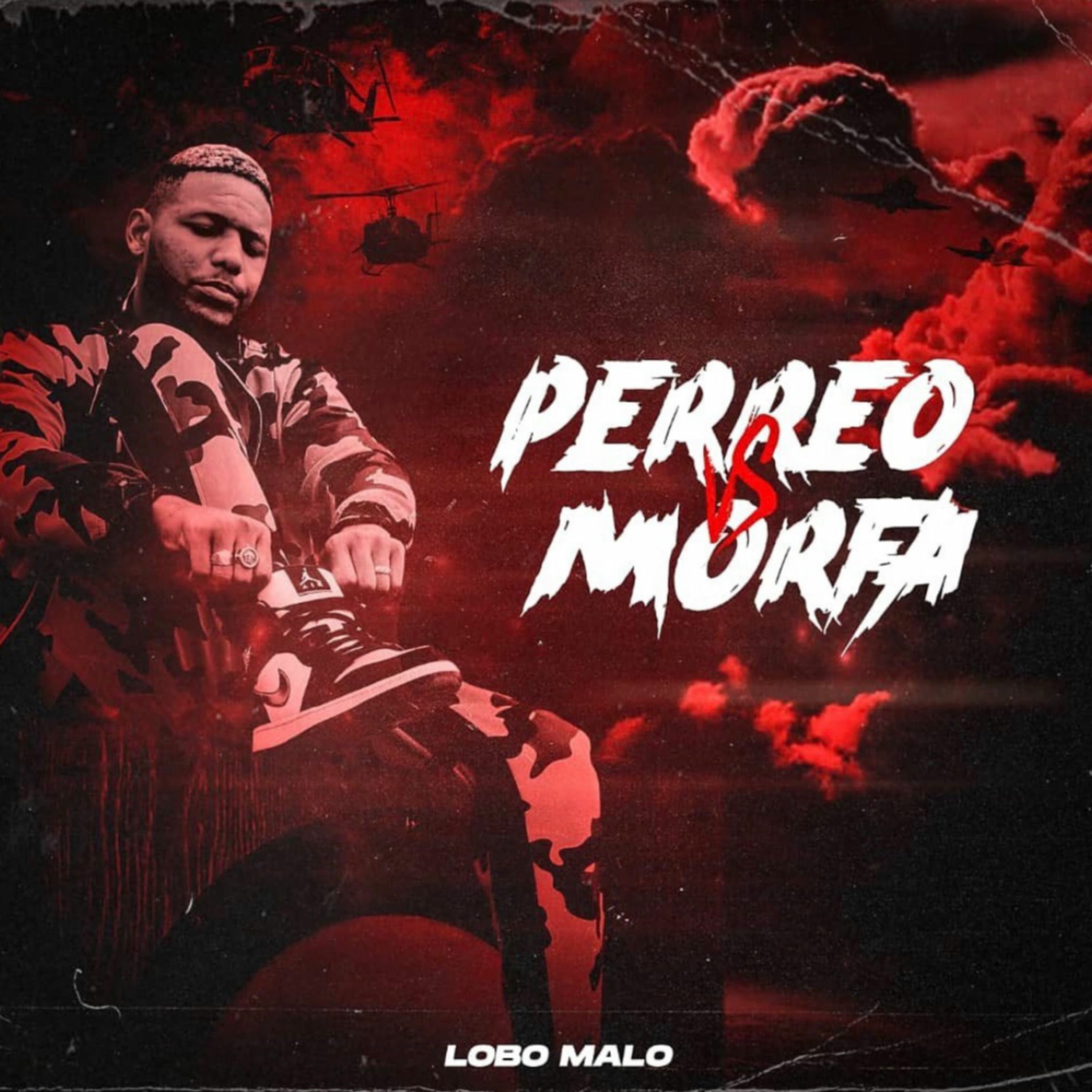 Album cover of Perreo Vs Morfa