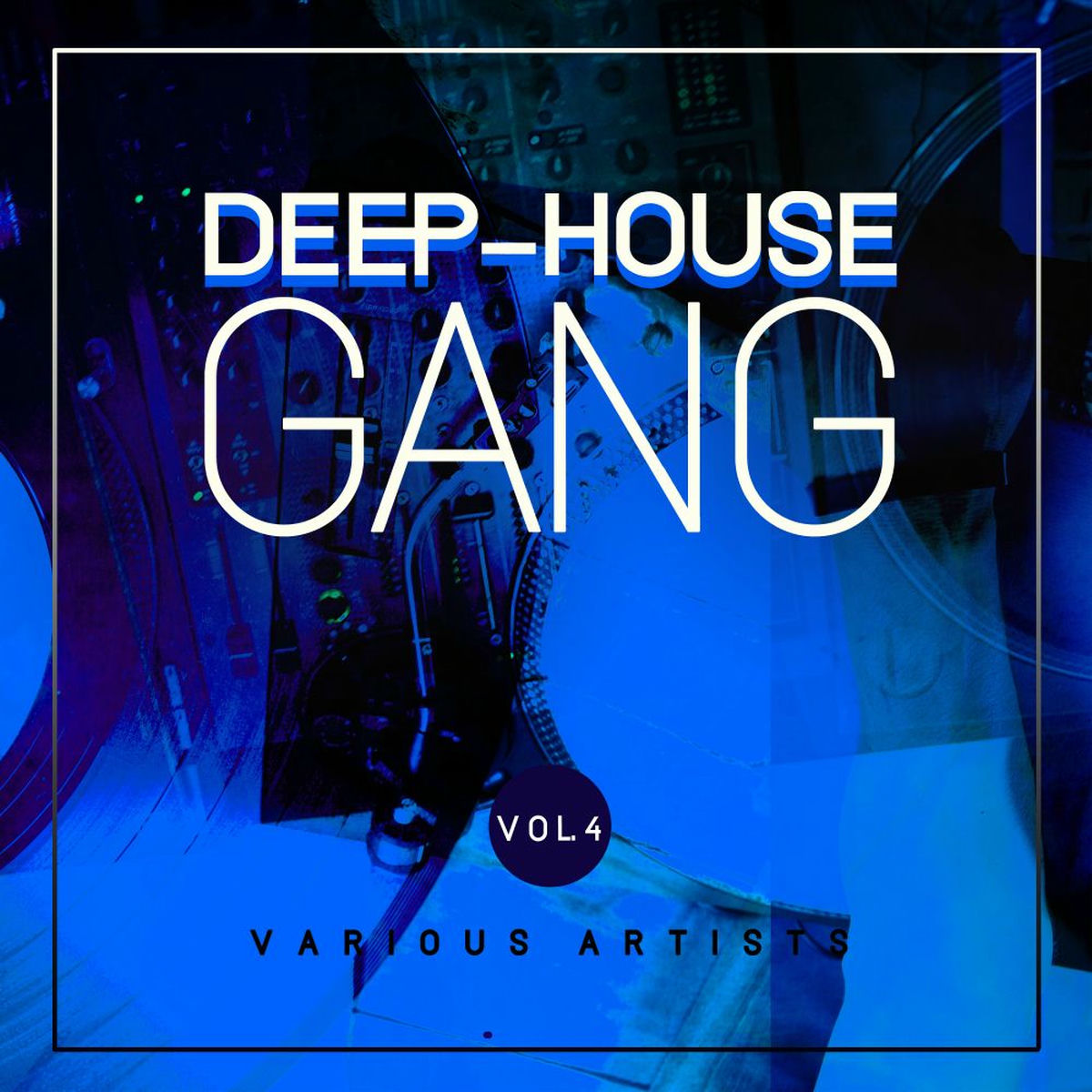 Album cover of Deep-House Gang, Vol. 4