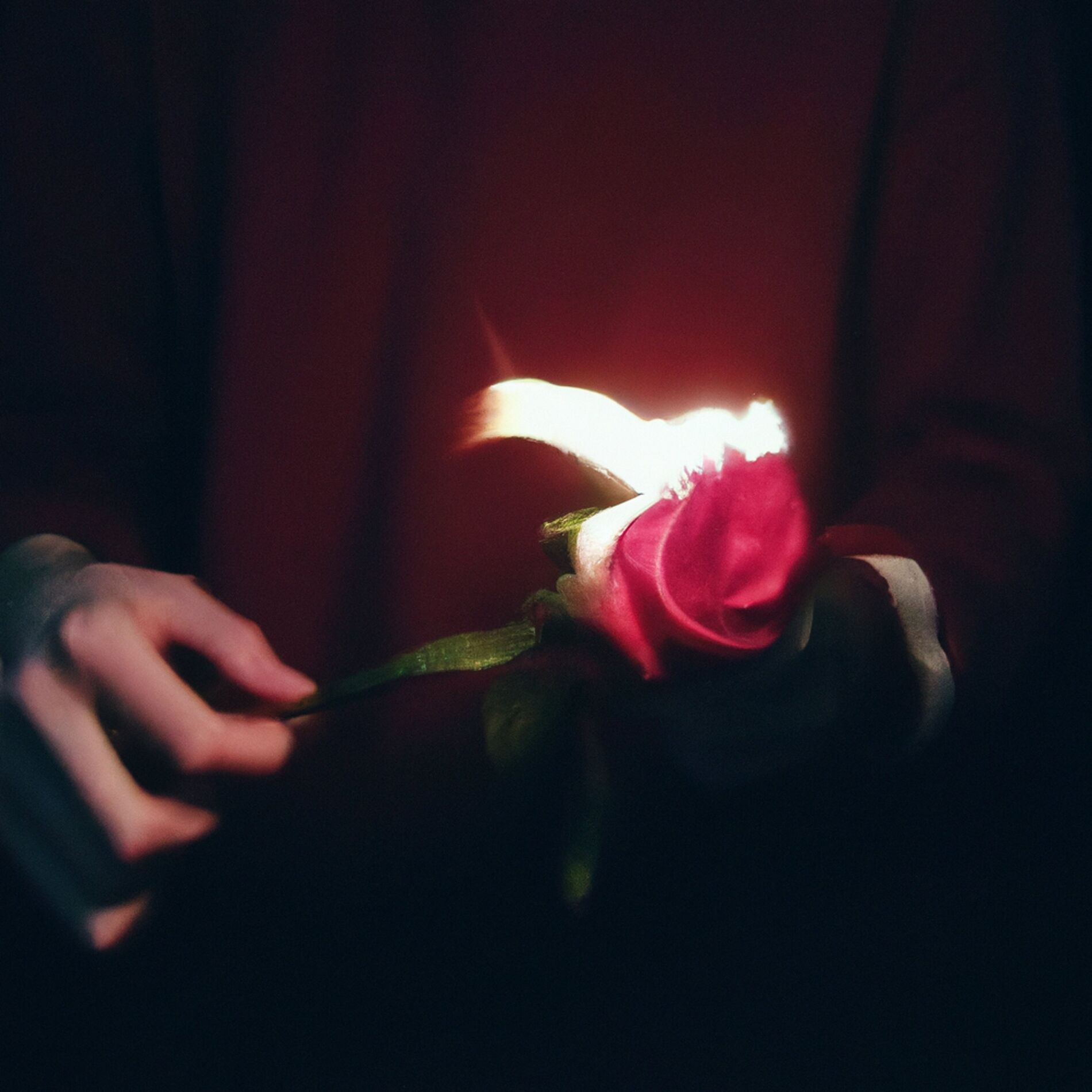 Album cover of kaltes Gefühl